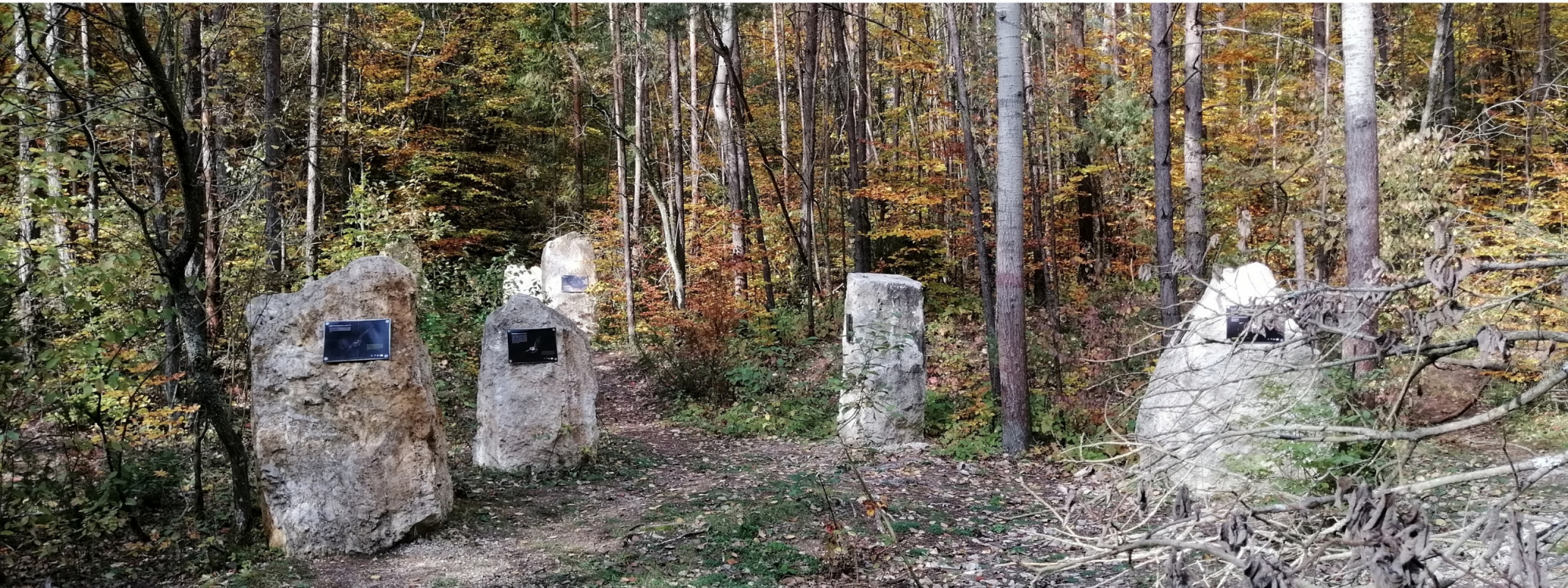 Załęczański Park Krajobrazowy